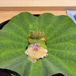 日本料理 研野 - 