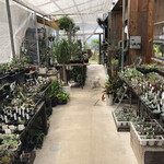 SIRO - 敷地内の多肉植物専門店leafが可愛い♡