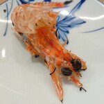 寿し屋の昭月 - 車海老