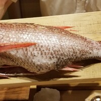 米増 - ⑧赤鯥(京都府舞鶴産、2kg、雌、7日寝かせ)
                    産卵期は初夏～初秋、旬は晩秋～晩冬
                    一般に雄は寿命5年で500g迄、雌は寿命10年で2kg迄だから特大サイズ
                    仕込みも素晴らしく極上なふわふわ焼きでした