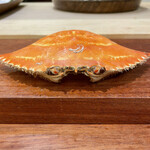 茂幸 - そんな目で見ないで(//∇//)本日は宮崎のメスだそう