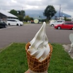 マッカリズム - 