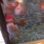 そば処 緑寿庵 - 