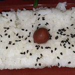 Honke Kamadoya - ご飯に小梅付き。