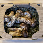 旬菜 おぐら家 - 松茸