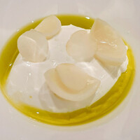 カンテサンス - 