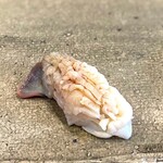 小判寿司 - 追加 北寄貝 軽い炙り