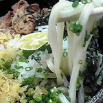 手打うどん くうかい - この麺が最高ｸﾗｽ。ひやひやで食うと抜群のコシ！