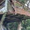 Tsurihausukafe Perch - 手作りツリーハウス。下から