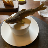 cenci - 