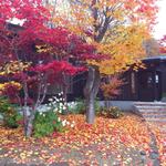 味道広路 - 良い時期にお邪魔出来ました（２０１２年１１月）。