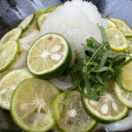 Cocos Shinozaki Ten - Chilled Oroshi Udon with Tokushima Prefecture Sudachi (Close-up of the Udon)