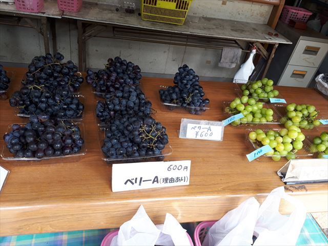 みとろ観光果樹園 厄神 その他 食べログ
