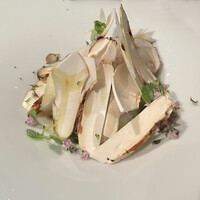 ジョンティ アッシュ - 