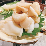 龍のかくれんぼ - 活ホッキ貝造り②