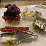 シャントレル - カツオ、新イカ、アジ、イワシ