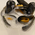 シャントレル - 