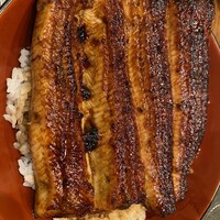 吉寅 -  吉寅 -