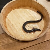 三宅輝 - 