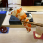 兄弟寿し - 聖籠町産天然車海老炙り