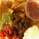 トリケラトプス - トッピングたっぷりナチョス