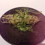 ロドラント ミノルナキジン - 