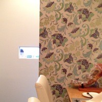 セサンパ - カウンター席から店の外がチョコッと見えます。