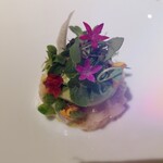 ロドラント ミノルナキジン - 