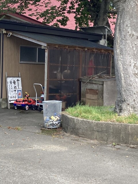 Terra Cafe - 鹿渡（カフェ）の写真