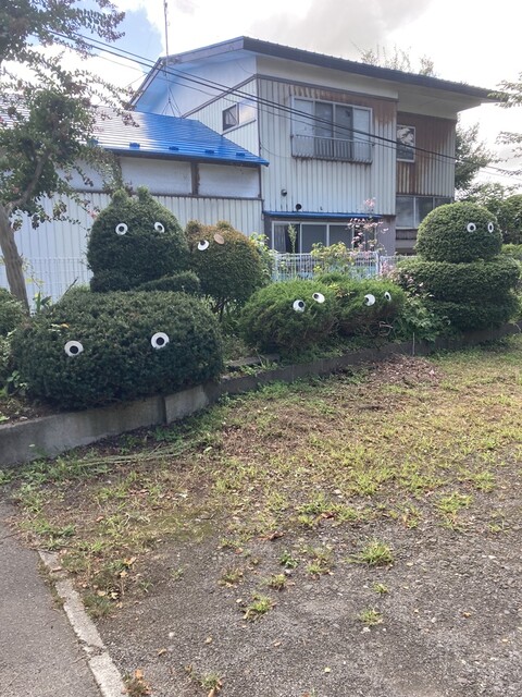 Terra Cafe - 鹿渡（カフェ）の写真