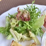 プロヴァンスの日曜日 - 青柳農園のフレッシュ野菜のサラダ