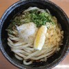 本格手打うどん はゆか