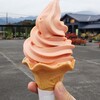 農村レストラン　関の里 - プレミアムトマトソフト350円