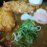 完熟うどん処 獅子家 - 鶏天カレーうどん小盛