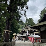 Chatsuya - 御神木 巳の神杉