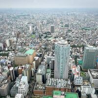 天空の庭　星のなる木 - 