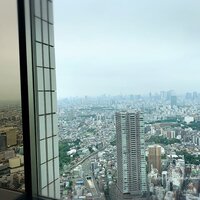 天空の庭　星のなる木 - 