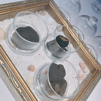 Terres de Truffes, Tokyo - 