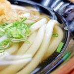 讃岐うどん 上原屋本店 - かけうどん(小)
