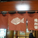 博多料亭 稚加榮 - 暖簾