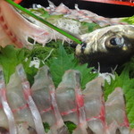 博多料亭 稚加榮 - 関あじ