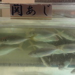 博多料亭 稚加榮 - 生け簀その４