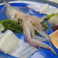 稚加榮 本店 - の活き造り