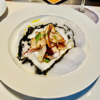 Benoit Alain Ducasse - 