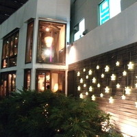 coci - 08/11/2012