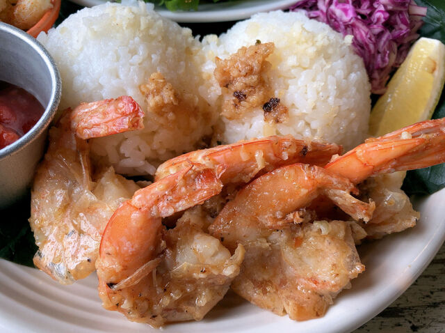 コナズ珈琲 寝屋川店 寝屋川公園 カフェ 食べログ コナズ珈琲 寝屋川店 寝屋川公園 カフェ 食べログ