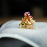 眞善美 - アカジンとシマエビそしてクラゲ☆