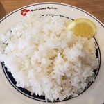 フジヤマコウタ - ライス＆レモン