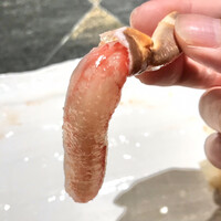 蟹鮨 加藤 札幌店 - 