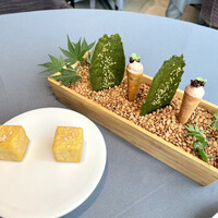 プレヴナンス - 